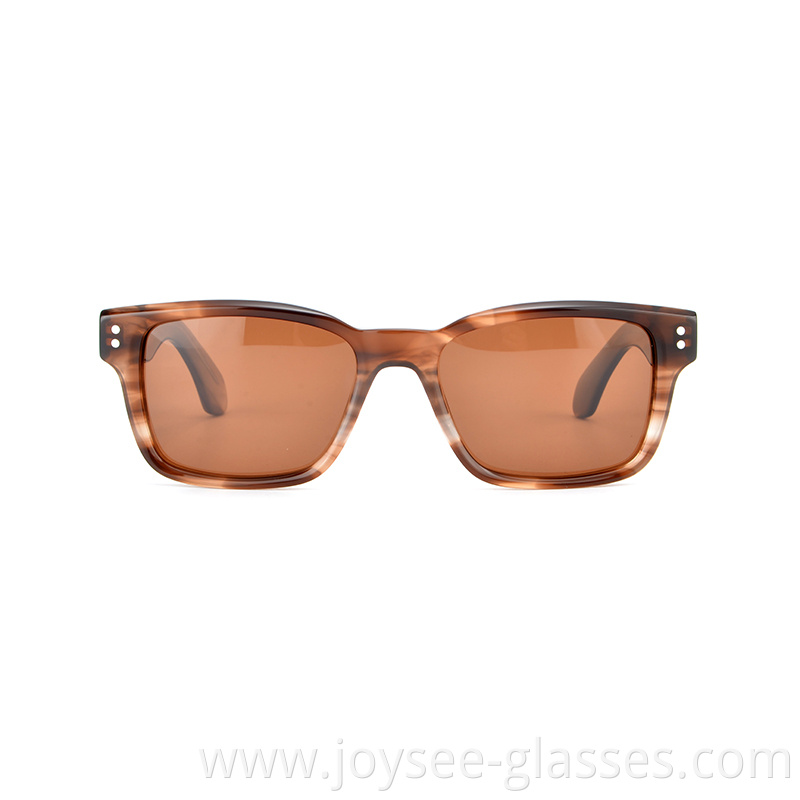 Demi Acetate Sunglasses 3